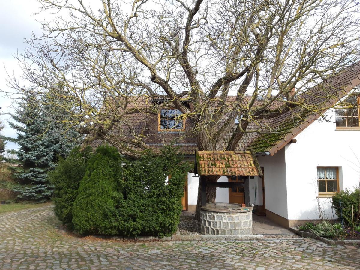 Ein Bett Im Kornfeld - Haus Morgensonne - Mit Innenpool Schonfeld  Exterior photo
